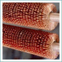 Wire Wound Fin Tubes