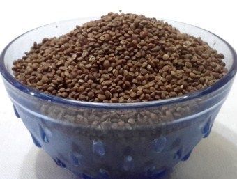 High Grade Kodra Millet