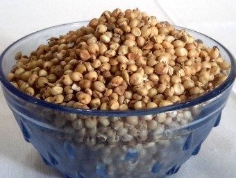 High Quality Jowar Paddy Seed