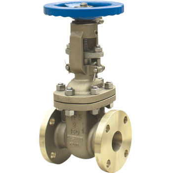 NAB C95800 Gate Valve