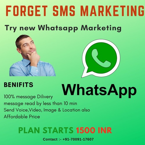 Whatsapp Marketing Services By GREEN ADS 360
