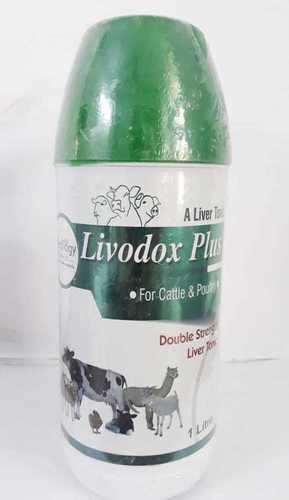 Livodox Plus Liver Tonic for Cattle