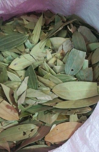 Natural Bay Leaf Spices