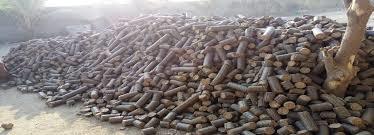 Biomass White Coal - Eco-Friendly Energy Source, High Quality and Superior Performance