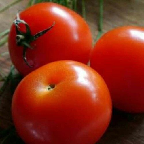 Fresh Desi Red Tomato