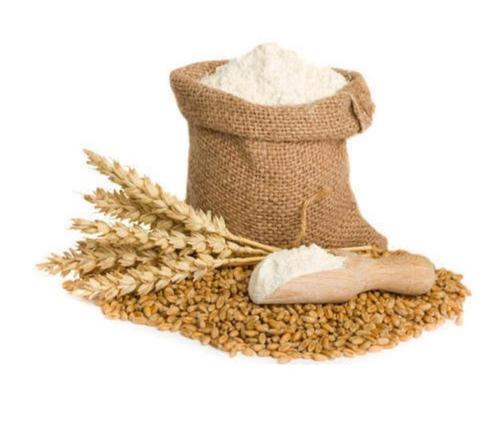 Indian Organic Wheat