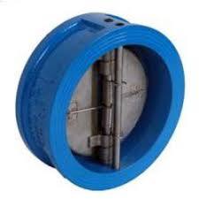 Dual Plate Check Valve Application: Pipe Fitting