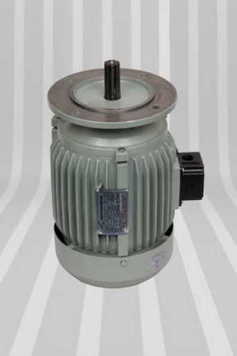 Heavy Duty Aerator Motors