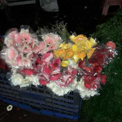 Farm Fresh Gerbera Flower