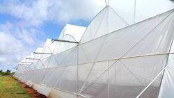 Ginegar Driplock Clear Greenhouse Covering Film