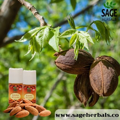 Sage Herbal Badam Rogan