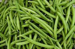 Fresh Green Beans Agro