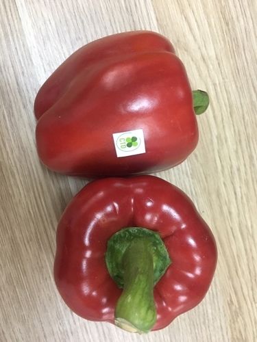 Natural Quality Fresh Bell/ Pepper