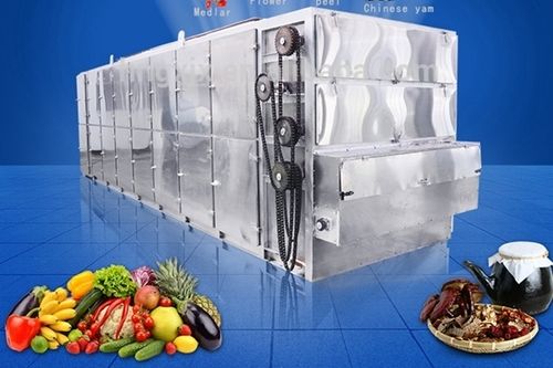 Eco Friendly Promotion Fruit Vegetable Dryer Machine