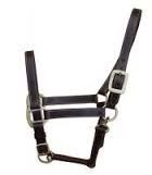 Skin Friendly PP Halters