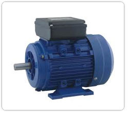 Single Phase Motors Gender: Women