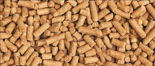 Premium Grade Cattle Feed