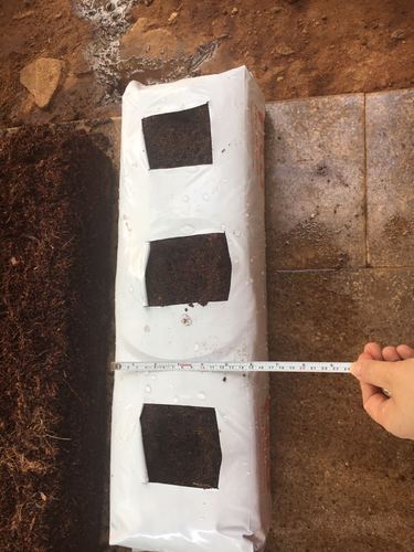 Industrial Cocopeat Grow Bags