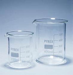 PP Transparent Beaker