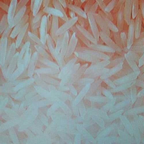 Fresh White Basmati Rice