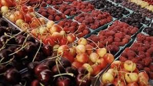 High In Taste Saudi Dates