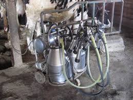 Unmatched Quality Cow Milking Machine