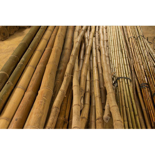 High In Demand Bamboo Pole