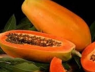 Fine Grade Papaya Powder