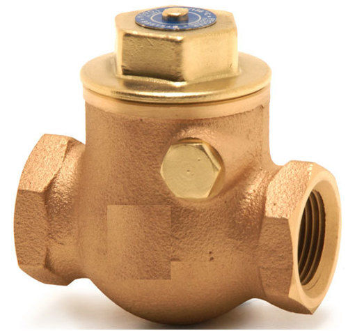 Anti Corrosion Non Return Valves