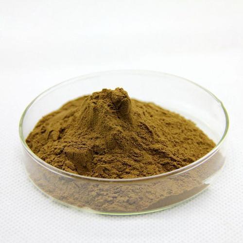 Fine Bacopa Monniera Extract