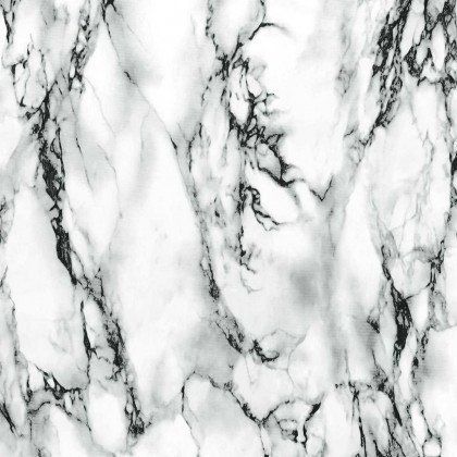 White Slab Marble 