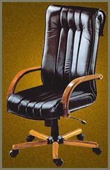 Easy To Clean Highly Comfortable Chair For Director