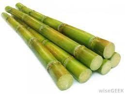 Tasty Juicy Sugarcane Fruit