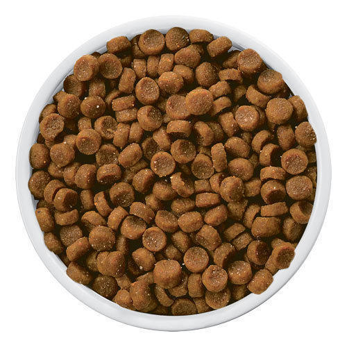 Fish Feed Granules Floating