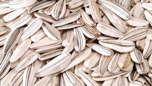 Fresh Striped Sunflower Seeds By Nevaco Food Industry