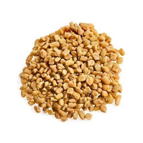 High Quality Fenugreek Seeds