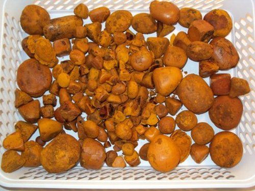 Cow And Ox Gallstones Grade: 100% Whole Stones