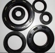 Leakage Proof Oil Seals