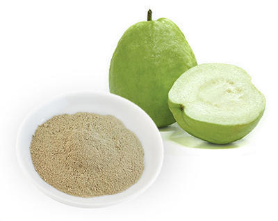 Light Brown Organic Fresh Guava Powder