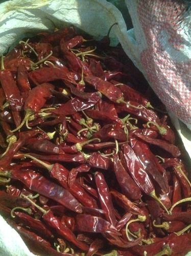 Hygienically Packed Dry Red Chilli