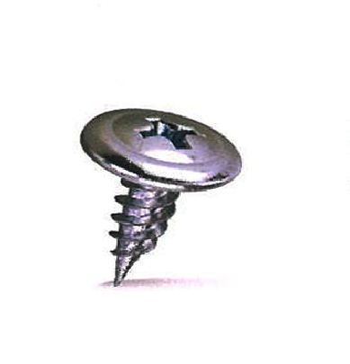 Truss Head Self Tapping Screw