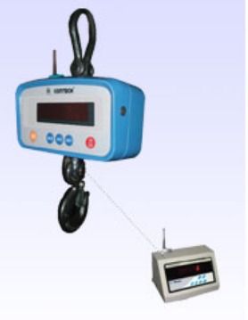 Digital Crane Scales Warranty: 1 Year