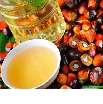 Palm Oil