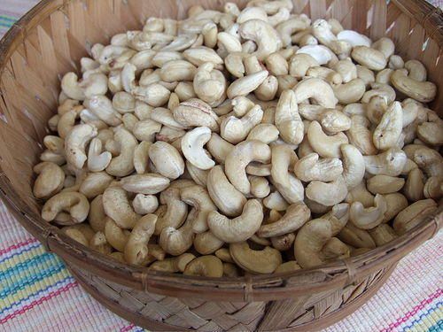 Raw Dried Cashew Nut
