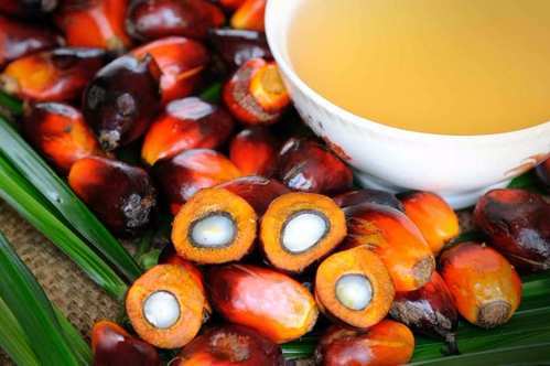 Natural Palm Kernel Oil