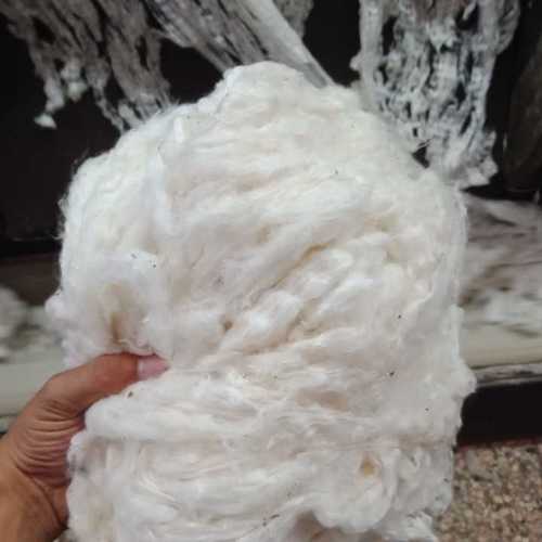 Pure Egyptian Raw Cotton (Giza 94)