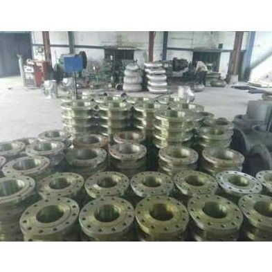 Stainless Steel Forged Flanges - Corrosion-Resistant Material, Multiple Types Including Welding Neck and Slip-On