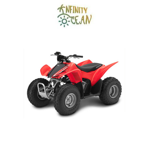 ATV Motorcycle - TRX90 2017 [Honda]