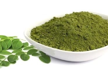 Best Price Moringa Powder