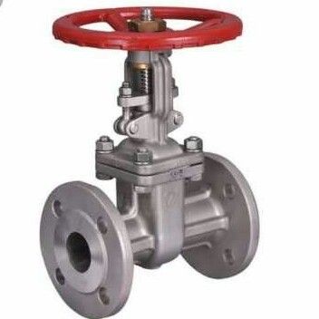 Stainless Steel Flanged Gate Valve